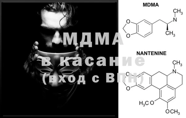 гидра Богданович